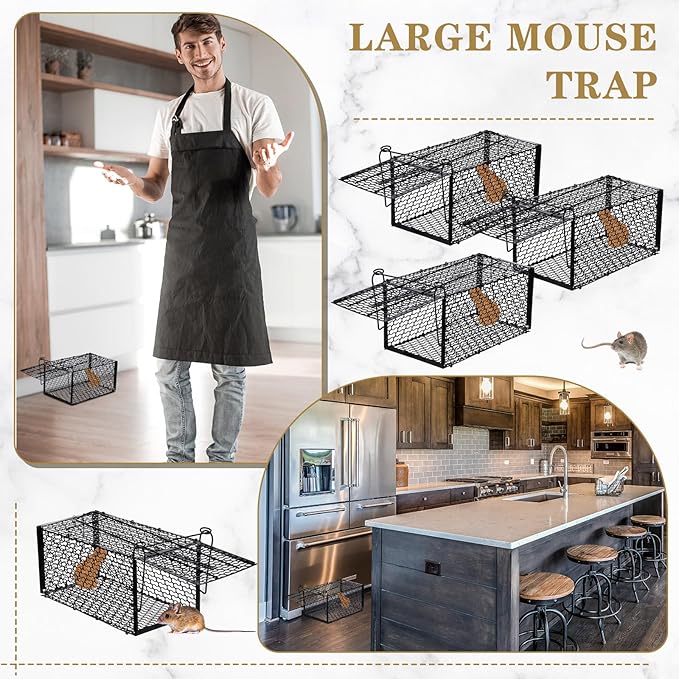 Qualirey 6 Pcs Humane Rat Trap Small Chipmunk Mouse Squirrel Cage Rodent Animal Mice Voles Hamsters Cage Catch and Release Trap for Home Garden Indoor Outdoor(15.4 x 5.5 x 5.5 Inch)