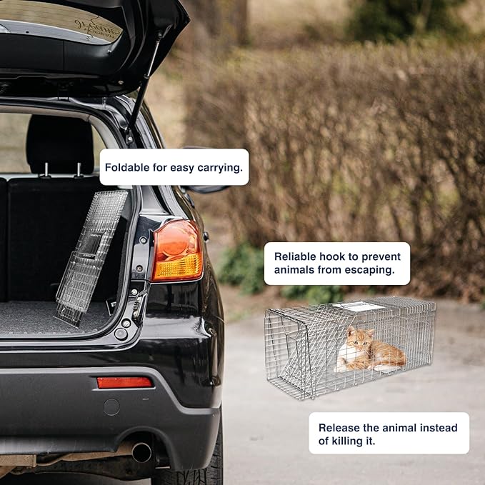 Animal Trap Cage, 31 Inch Live Traps for Raccoons Heavy Duty, Cat for Stray Cats, Squirrels, Raccoon, Rabbits, Possum, Skunk, Outdoor Small Animal Humane Catch & Release, Foldable