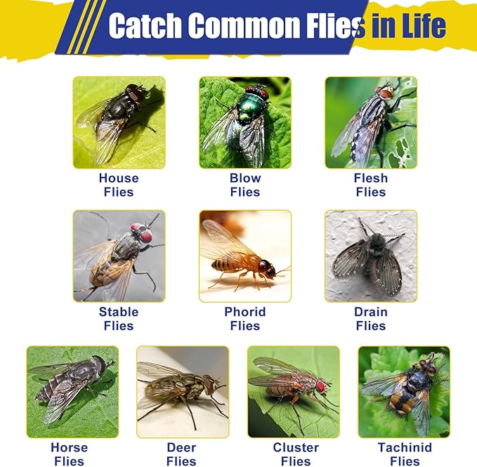 Glovv 2 Pack Reusable Fly Traps Outdoor for Patio with Bait Refill, Haning Fly Jar Trap Gnat Catcher Killer for Outside, Filth Flies Insect Bug Control to Repellent Fruit Fly for Ranch, Yard