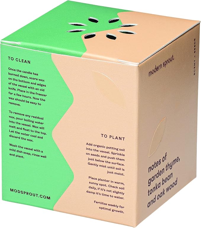 Modern Sprout Rooted Candle - 2 in 1 Cucumber Scented & Soy Candle with Seeds That Grows into Rosemary Plant - 6 oz w/ 42 Hr Burn Time in Matte Glaze Ceramic Vessel Ideal for Indoor Herb Garden