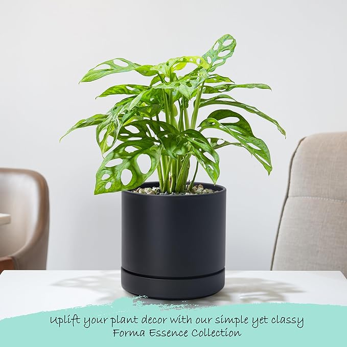 Phoenix Vine 4 Inch and 6 Inch Planter Pot with Drainage Hole & Deep Water Catch Tray Saucer, Straight Cylindrical Round Pot for Plants, Matte Black, 23-A-2-Z