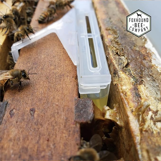 Clear Small Hive Beetle Trap with Baitable and Reusable Oil Trap Designed for Trapping Beetles in Bee Hives Without Chemicals for Beekeeping - 12 Pack