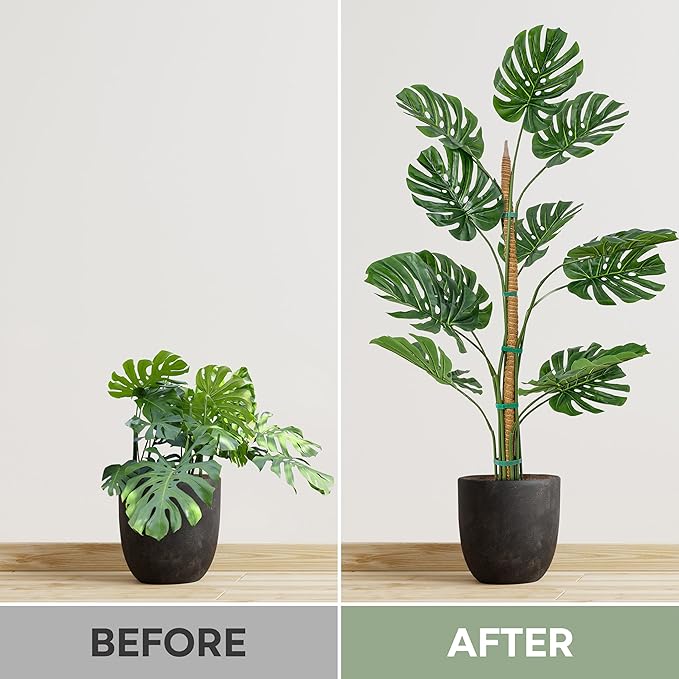 2 Pack 63'' Bendable Moss Pole Monstera Plant Support for Large Climbing Indoor Plants - Stakes for Potted Climbers - Tall Sticks Indoor Trellis for Houseplants - Accessories for Monstera Pot