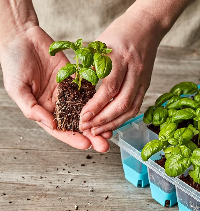 Burpee SuperSeed Seed Starting Tray | 36 Cell Reusable Seed Starter Tray | for Starting Vegetable, Flower & Herb Seeds | Indoor Grow Kit for Plant Seedlings | for Germination Success