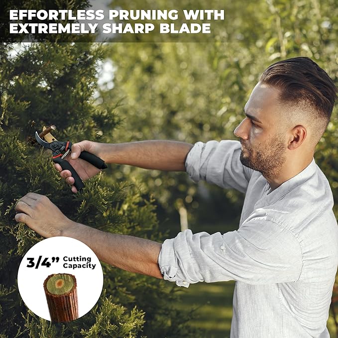 Astorn Premium Bypass Pruning Shears for Gardening - Heavy Duty, Ultra Sharp Garden Shears w/Ergonomic Soft Grip Handle - Made with High-Grade Carbon Steel - Ideal for Cutting, Gardening & Trimming