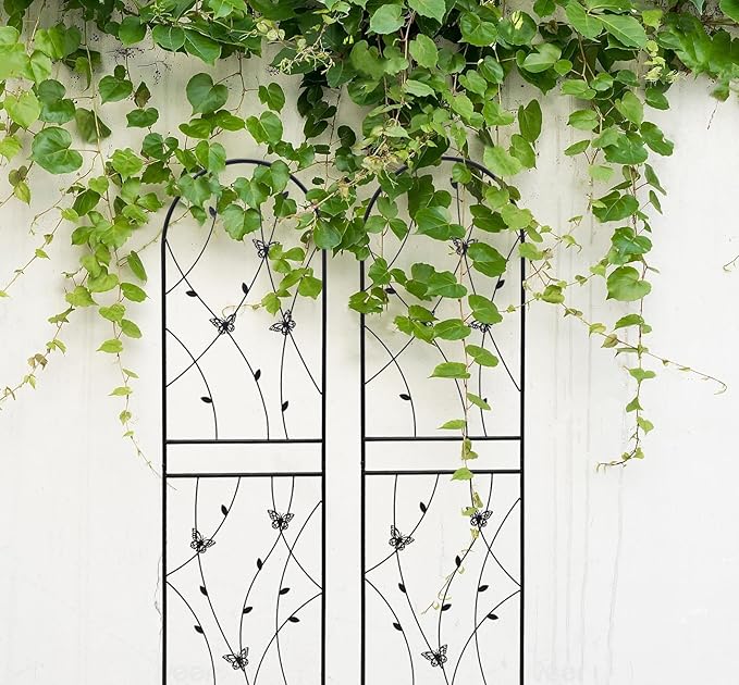 4 Pack Metal Garden Trellis for Climbing Plant Rose Stand, Black Outdoor 71'' Tall Flower Support Iron Garden Fence, 71'' H Black