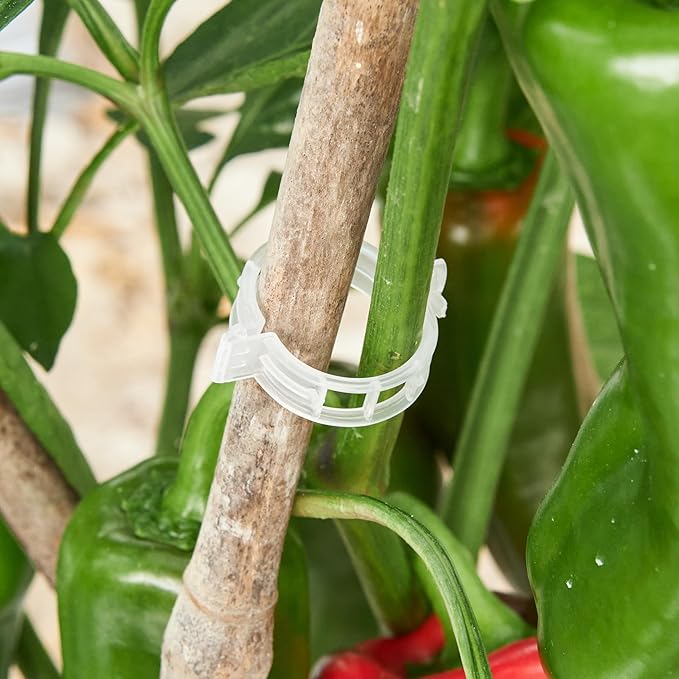 300 Pcs Plant Support Clips,Plastic Clips for Securing Plants,Tomato Vine Clips,Plant Fixing Clips,Garden Clips for Climbing Plants,Grape and Vine Vegetables (300, White)