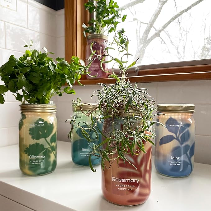 Modern Sprout Mason Garden Jar - Self-Watering Hydroponics Growing System Kit with Organic Herb Seeds - Jar Planter for Indoor Herb Garden - Seed Starter Kit - Home Decor & Gifting - Rosemary