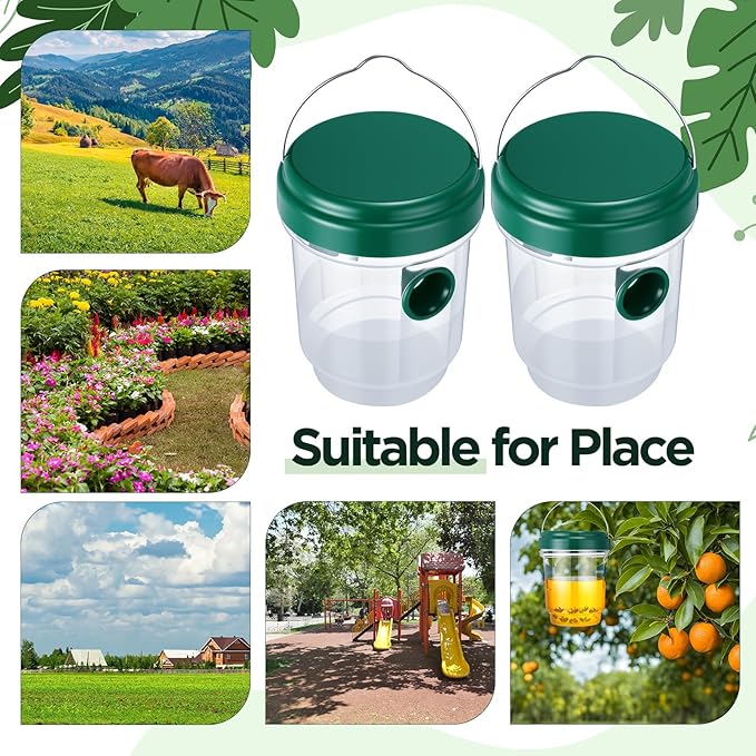 Qualirey 2 Pcs Wasp Traps for Outdoors Wasp Killer Hanging Bee Traps Reusable Fly Bee Killer for Indoor Outdoor Patio Garden Home (Green)