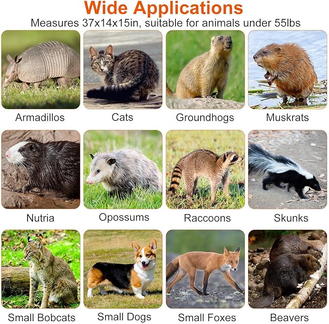 Humane Animal Trap, 37"x14"x15" Foldable Large Live Cage Traps for for Raccoons Beavers Groundhogs Foxes Armadillos and Other Live Animals, Easy to Catch and Release, Work for Indoor Outdoor