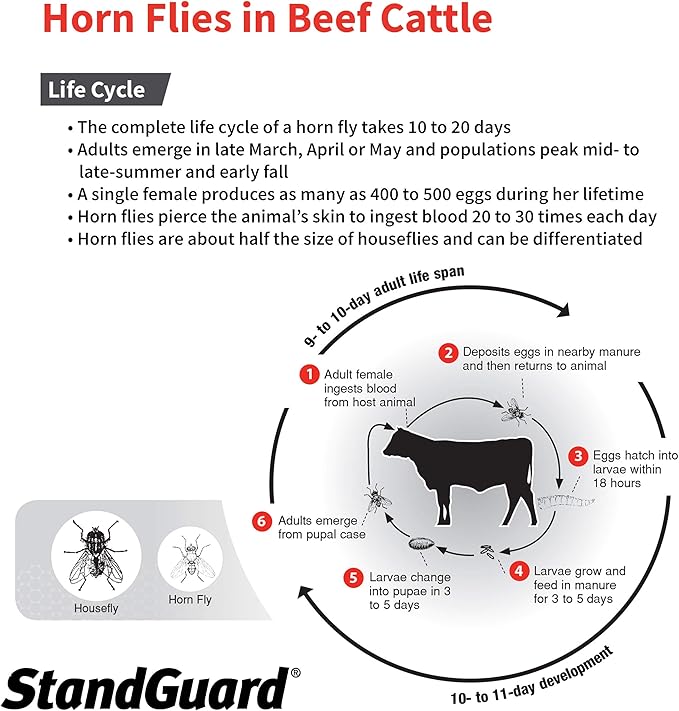 Neogen 1907840 Prozap StandGuard Pour-On 900 mL Insecticide, Yellowish, Brown