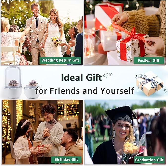 Smart Venus Fly Trap Terrarium Pot with Timer&Fan,Succulent Planter with Grow Light,Indoor Plant Terrarium Kit for Carnivorous Plants,Sundew Moss,Cactus, for Dad (No Plant)