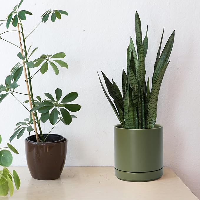 D'vine Dev 6.5 Inch Ceramic Planter Pot with Drainage Hole and Saucer, Indoor Cylinder Round Planter Pot, Olive, 94-O-C-J