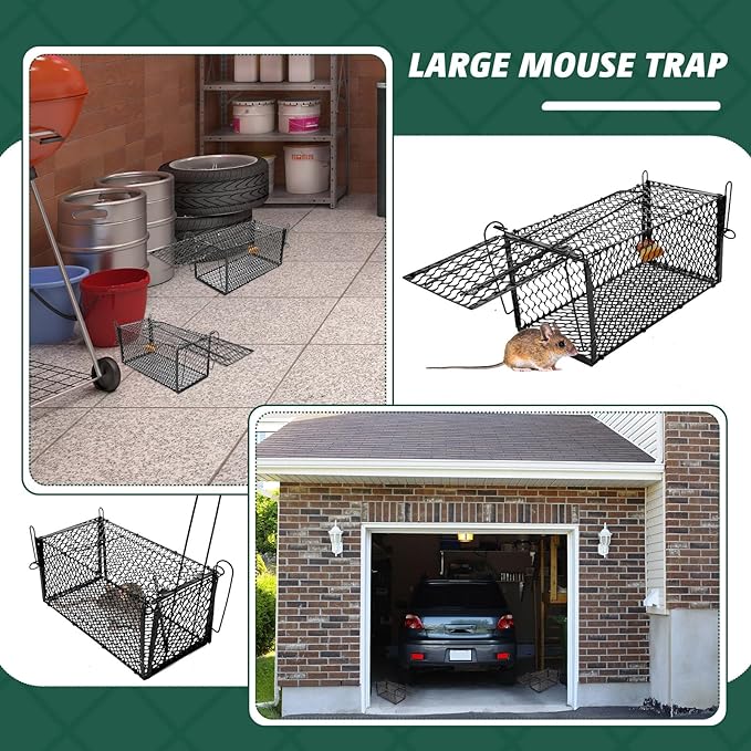 Qualirey 6 Pcs Humane Rat Trap Small Chipmunk Mouse Squirrel Cage Rodent Animal Voles Hamsters Cage Catch and Release Trap for Home Garden Indoor Outdoor(Black,12 x 5.5 x 5.5 Inch)