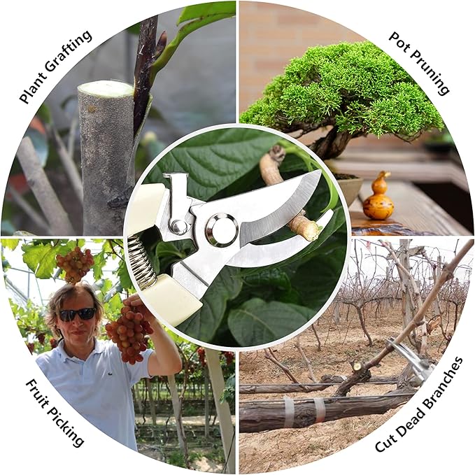 12 Pcs Garden Scissors for Plant, Tip Pruning Shears for Cutting Flowers, Trimming Plants, Bonsai and Fruits Picking (Bypass Blade Pruner)