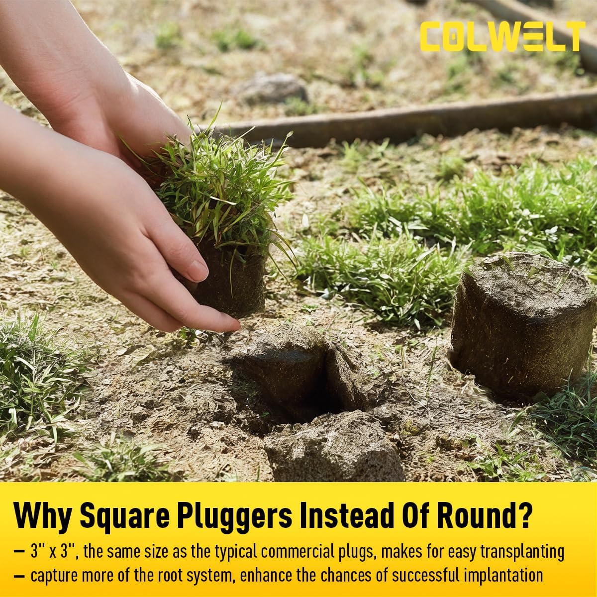 Colwelt Sod Plugger Tool 36-INCH, Grass Plug Tool 3 x 3 Square with Serrated Base, Long Handle Bulb Planter Tool with Dual Pedals & Easy Foot Ejector, Sod Turf Cutter for Lawn Planting Grass Repair