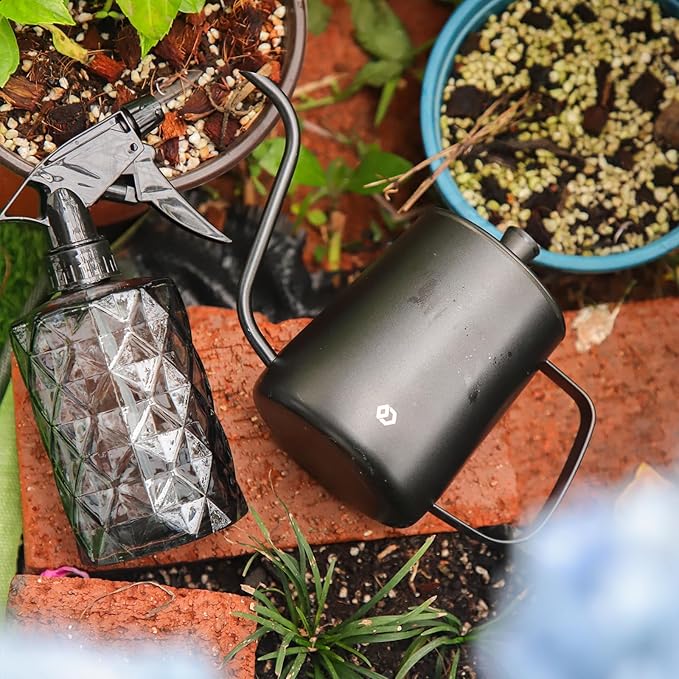 OFFIDIX Watering Can for Indoor Plants,Long Spout Metal Stainless Steel 21 oz/600 ml Watering Can with 14 oz/400ml Glass Plant Mister Spray Bottle for Plant Bonsai