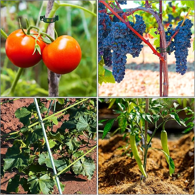 16 Inch Plant Support Stakes (Pack of 7), Garden Single Stem Amaryllis Flower Stake, Metal Plant Cage Support Rings Plants Support Sticks with 10 PCS Plant Clips