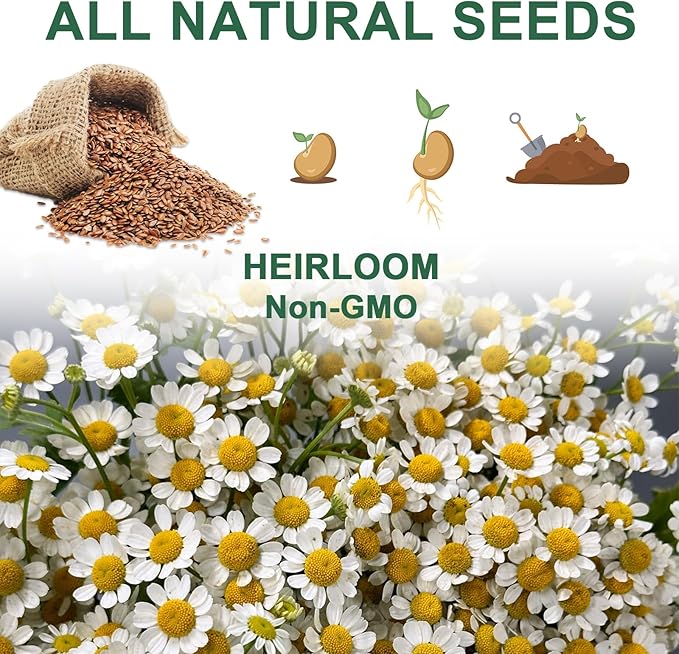 Lavender Seed Pod Kit, 8 Pod Kit (Include Seed Mint/Chamomile/Holy Basil/Borage/Calendula/Lavender) Fresh Tea Seed Pod Kit Compatible with Hydroponics