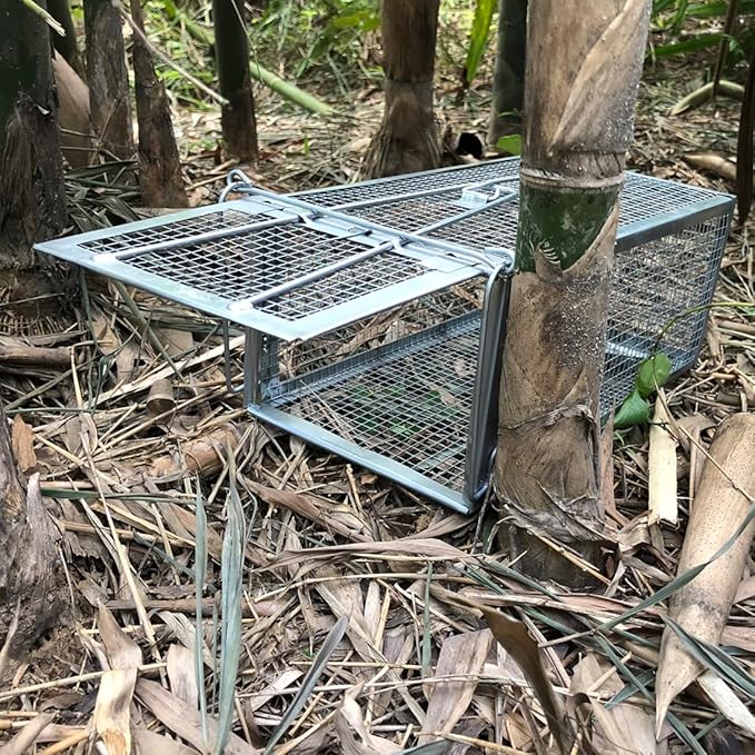 Gingbau Rat Trap Humane Live Mouse Chipmunk Trap Cage – Medium, 12.3" x 6.6" x 5.3"