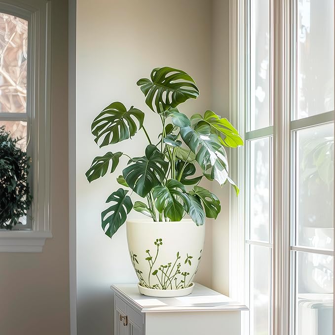 Indoor Plant Pot 8.2 Inch - Ceramic Planter with Drainage Hole and Saucer, Boho Round Decorative Flower Pot for Indoor Outdoor Flowers, Plant Lover Gifts, Office Home Garden Patio Decor, White