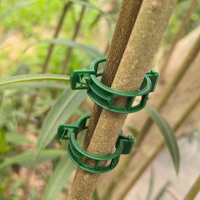 Safety Plastic fixed Clamp, Reusable Garden Support Clips for Climbing Plants, Plastic Trellis Clips for Fixing Tomato, Grape Vine, and Vegetable Plants (100, GREEN)