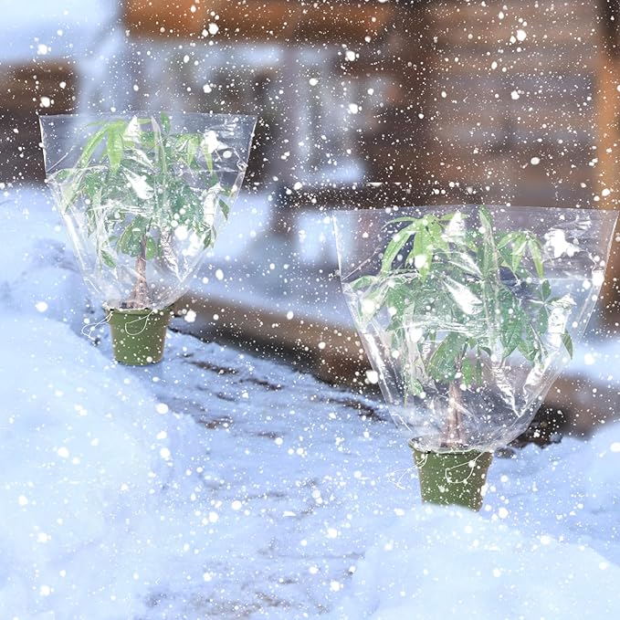 6 Pcs Winter Plant Cover Freeze Protection - 39.3" x 39.3" Plastic Plant Frost Bags with Drawstring, Transparent Waterproof Plant Shelter Coverings for Outdoors Garden Plants Shrubs Sapling Bushes