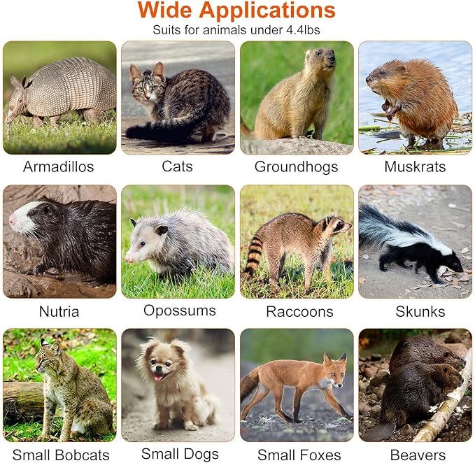 23.3’’x7.24’’x7.72’’,Foldable Humane Live Animal Trap Cage Cat Trap Catch Release Live Animal Rodent Cage for Indoor Outdoorfor Small Rabbit Squirrel Groundhogs Mole Gopher Cat