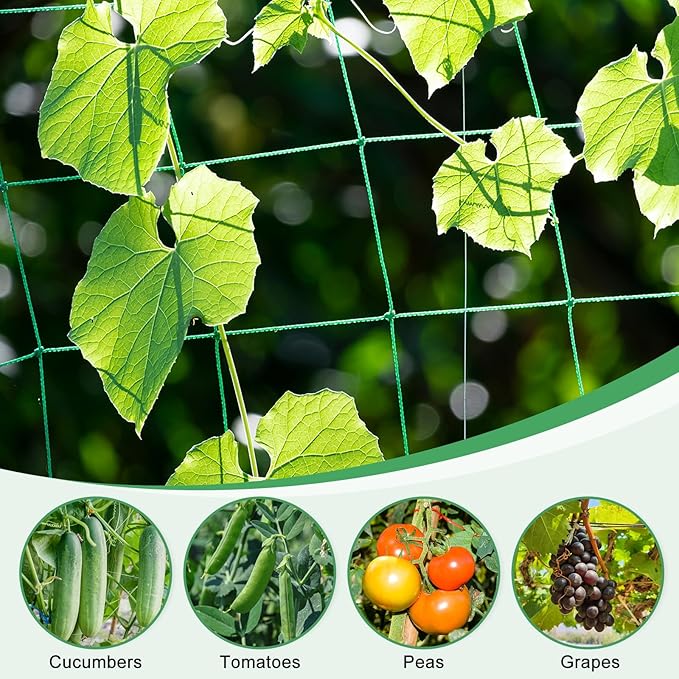 HARFINGTON Trellis Netting for Climbing Plants 3 x 6ft 27 Strands Heavy Duty Garden Trellis Netting Polyethylene Plant Support Net with 4" x 4" Mesh for Fruits Vegetables Cucumber