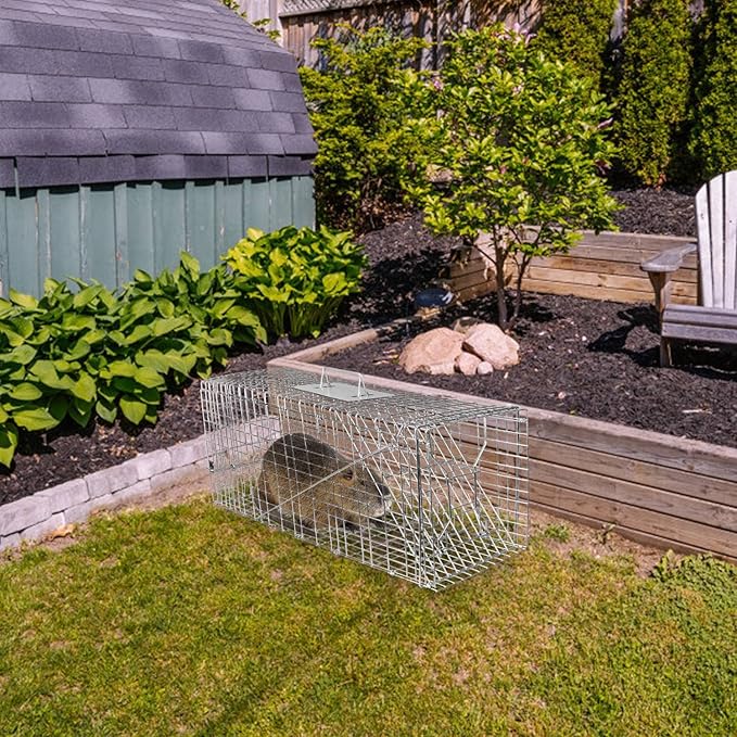 iMounTEK Humane Live Animal TrapLarge Humane Cat Trap Catch Release Animal Rodent Cage Collapsible Galvanized Wire for Small Raccoons Beavers Groundhogs Foxes Armadillos