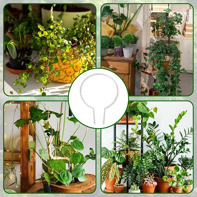 2-Pack Round Acrylic Plant Trellis for Potted Plants Indoor Outdoor - Small Climbing Plant Trellis Support for Hoya, Pothos, Vine, Ivy, Monstera, Flower, Philodendrons, Dischidia