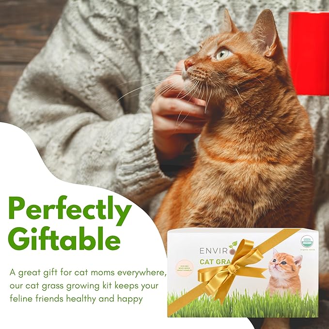 Cat Grass Kit for Indoor Cat, Organic Grass Growing Kit with Seeds, Soil and Planting Tools, Quick Germination, Perfect for Beginners, 3-Pack Plastic Pots