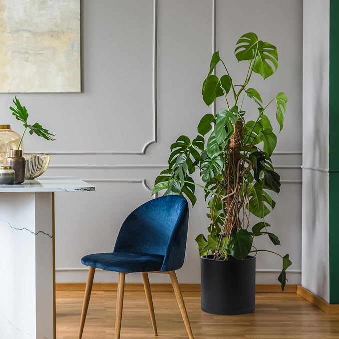 D'vine Dev 10 Inch 12 Inch 14 Inch, Set of 3 Plastic Planter Pots for Plants with Drainage Hole and Seamless Saucers, Black Color, XX-Large, 74-V-B-6