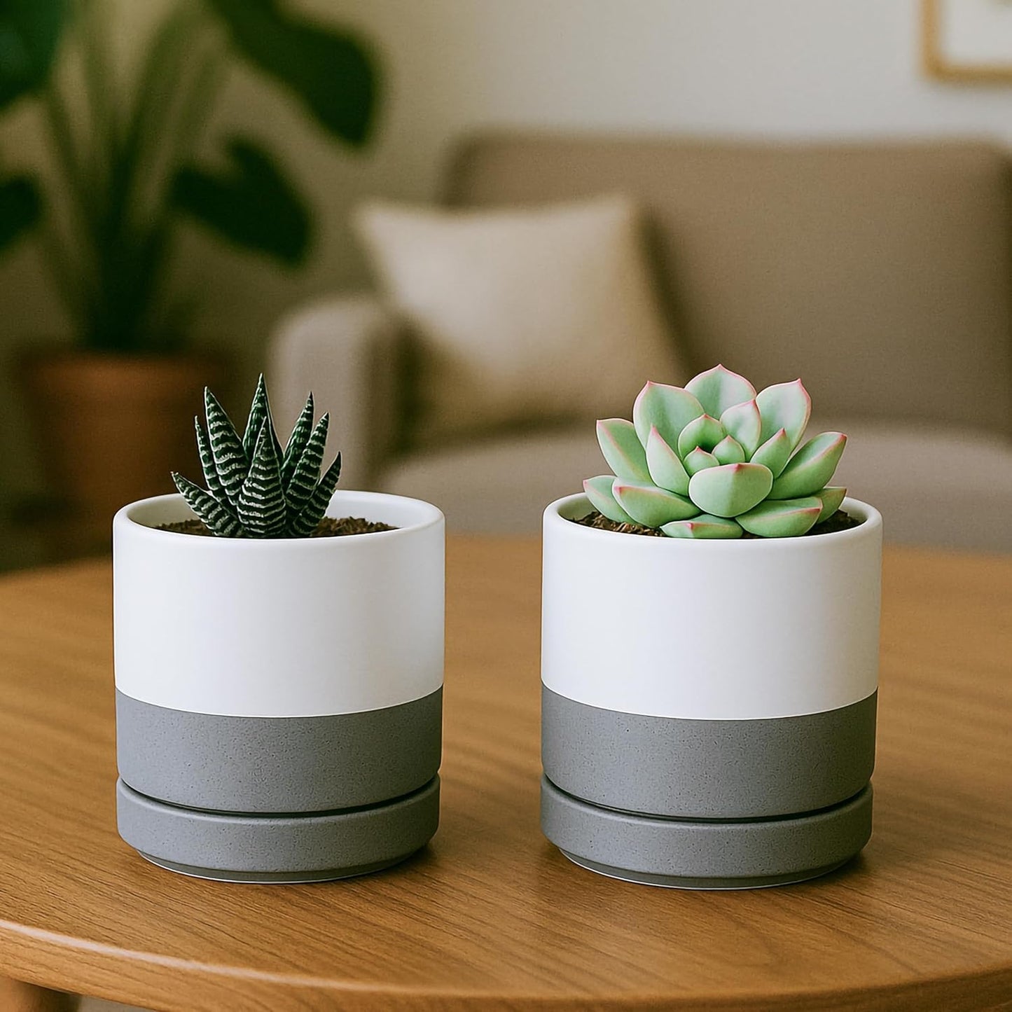 D'vine Dev Set of 4 Small Ceramic Plant Pots, 3.5 Inch Succulent Planter Pot for Plants with Drainage Hole and Saucer, White/Speckled Grey, 94-X-A-6