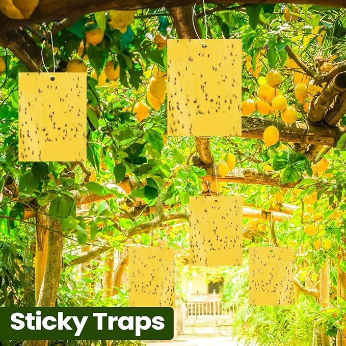 Qualirey 20 Pcs 6 x 8 Inch Sticky Traps for Plant Double Sided Sticky Trap for Gnats with Twist Ties Fly Traps for Fruit Insect Fungus Bugs Indoor Outdoor (Yellow)