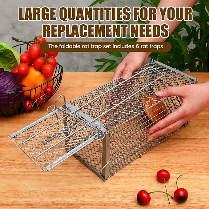 Qualirey 6 Pcs Humane Rat Trap Small Chipmunk Mouse Squirrel Cage Rodent Animal Voles Hamsters Cage Catch and Release Trap for Home Garden Indoor Outdoor (Silver,10.6 x 5 x 5 Inch)