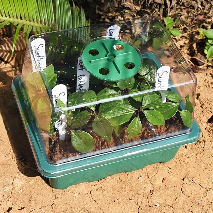 Artcome 5-Pack Seed Starter Tray, 12 Cells Each with Push-Up Ejector - Seed Starter Kit for Rapid Growth and Healthy Seedlings at Home - 60 Cells in Total