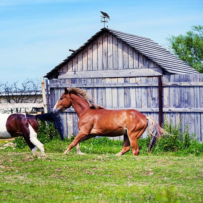 SUPERDANT Crow Weather Vane Black Metal Wind Vanes for Outside Weathervane Crow Animal Weathervanes for Yard Garden Decorative Outdoor Farmhouse Farm Barn Sheds Patio Halloween Decorations