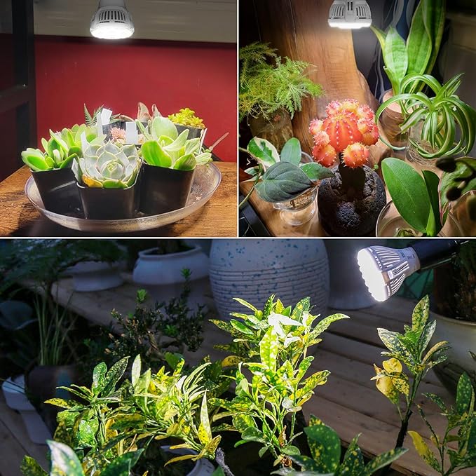 Grow Light Bulbs, A15 7W Plant Light Bulb for Indoor Growing, High PPFD, Full Spectrum, 60W Equivalent, E26 Base, LED Grow Lights for Indoor Plants, Seed Starting