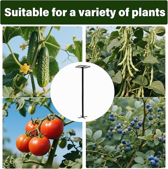 2PCS Dragon Fruit Trellis - Metal Plant Support for Climbing Plants in Outdoor Gardens, Easy Assembly, 12'' x 12'' x 50'' Size, Durable & Weatherproof Garden Support System