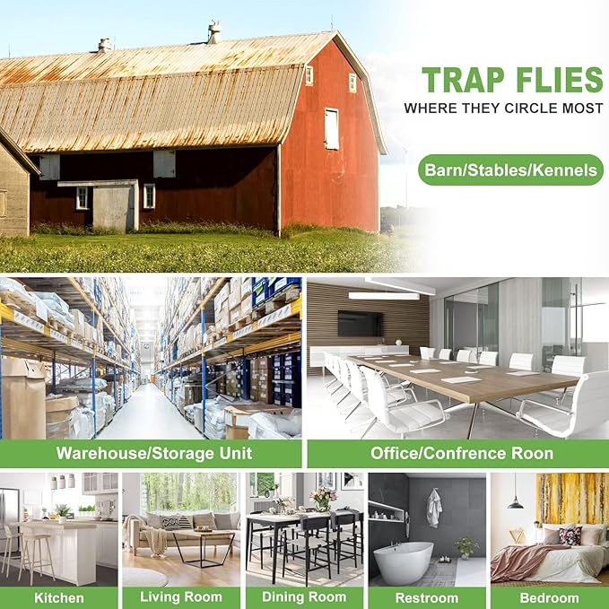 100 Pack Window Fly Trap, Fruit Fly Traps for Indoors, Fly Paper Sticky Strips, Fly Traps for Indoors Bug Catcher Clear