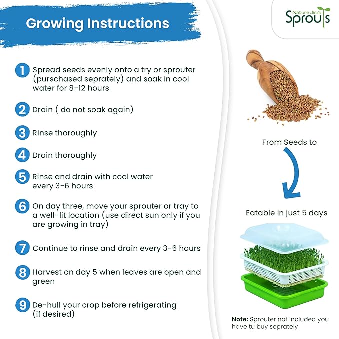 Nature Jims Sprouts Alfalfa Seed – 16 Oz Organic Sprouting Seeds – Non-GMO Premium Alfalfa Seeds – Resealable Bag for Longer Freshness – Rich in Vitamins, Minerals, Fiber