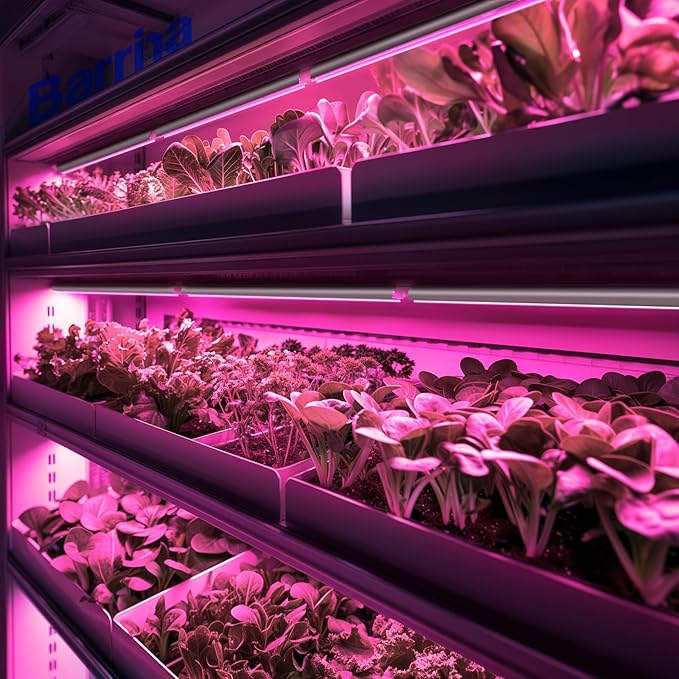 Barrina LED Grow Light, 144W(6 x 24W, 800W Equivalent), 2ft T8, Full Spectrum, High Output, Linkable Design, T8 Integrated Bulb+Fixture, Plant Lights for Indoor Plants, 6-Pack