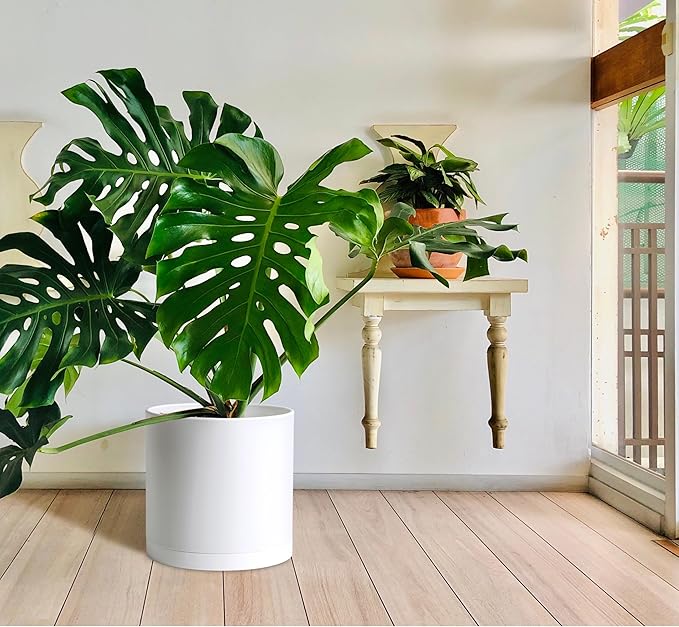 D'vine Dev 12 Inch 14 Inch 16 Inch, Set of 3 Plastic Planter Pots for Plants with Drainage Hole and Seamless Saucers, White Color, XXX-Large, 74-V-A-7