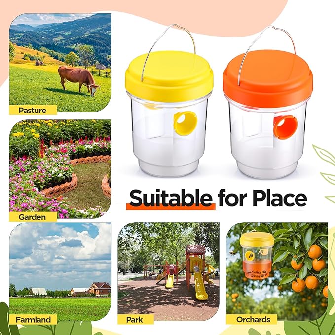 Qualirey 3 Pcs Wasp Traps for Outdoors Wasp Killer Hanging Bee Traps Reusable Fly Bee Killer for Indoor Outdoor Patio Garden Home (Yellow,Green,Orange)