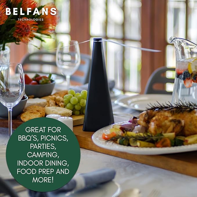 FlyRepellent Fan for Tables – USB Powered/AA Battery Powered, Soundless Fly Swatter with Holographic Blades – Portable Fly Fan for Bees, Wasps & Outdoor Use (1, Silver)