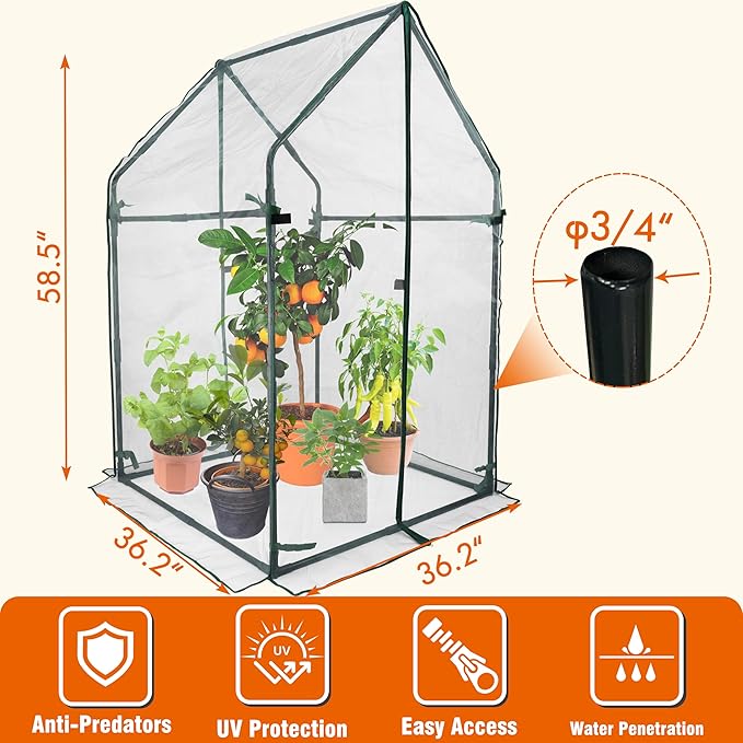 Gardzen Mini Greenhouse with Mesh Cover, Portable Outdoor Greenhouse, Enhanced Ventilation, Ideal for Spring, Summer & Fall 36.2"(L) x36.2(W) x59.5(H)