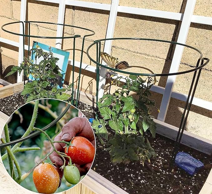 TCBWFY 20 Pack Plant Supports Stakes for Large Heavy Plants, 16"Hx10"D Peony Supports,Heavy Duty 4mm Wire Peony Cages,Interlock Garden Supports Ring Border Support,Plant Support Cage for Rose Flowers