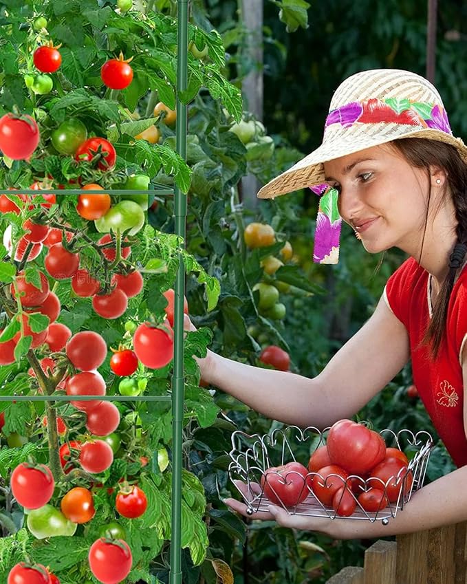 6 Pack Tomato Cages for Garden, 51 Inches Adjustable Tomatoes Plant Stakes Support Cages Trellis, Garden Trellis for Vegetable Flowers Fruits Climbing Plants- 20 Binding Wires Included