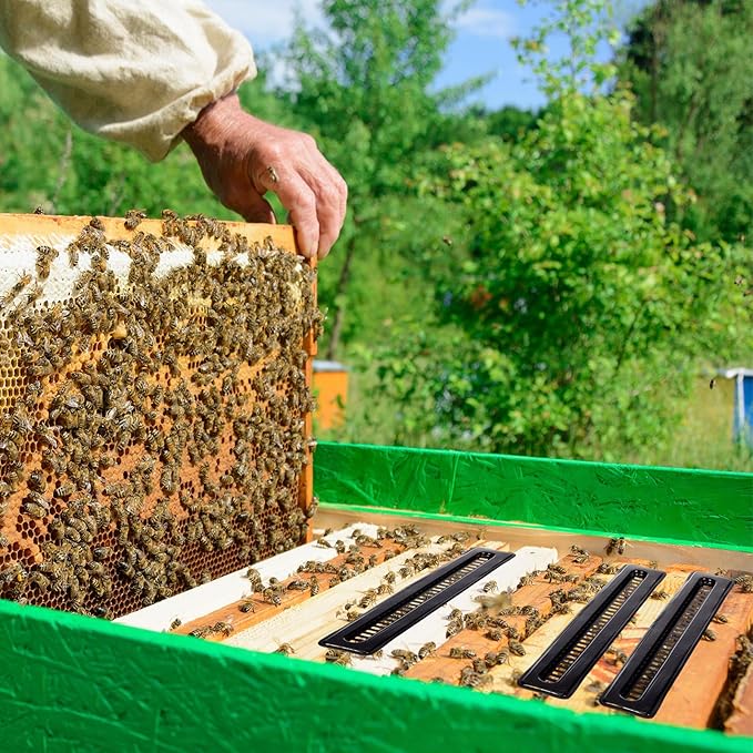 Qualirey 100 Pcs Plastic Beehive Beekeeping Tools Set Hive Trap Beetle Blaster Kit for Hive Beetle Beekeeping Supplies Control Beetles (Black)